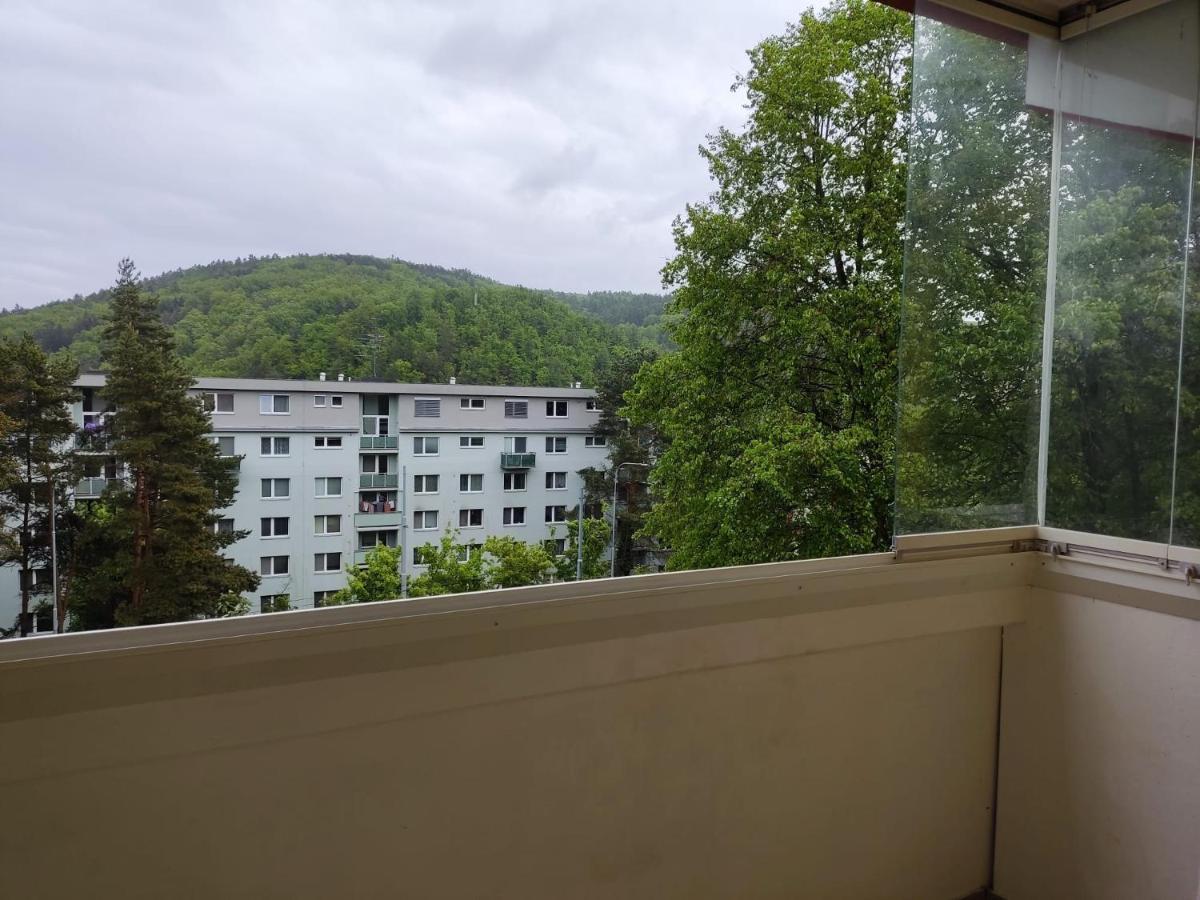 Appartamento Apartman Brno-Bystrc Esterno foto